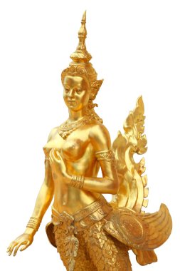 bir insan kafası ile efsanevi kadın kuş