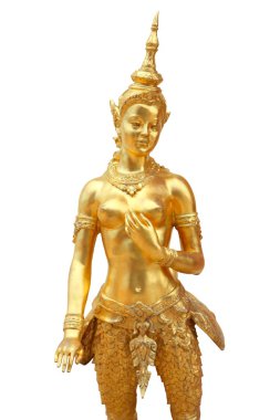 bir insan kafası ile efsanevi kadın kuş