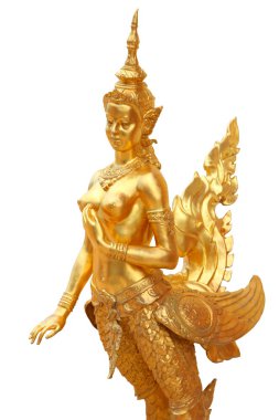 bir insan kafası ile efsanevi kadın kuş