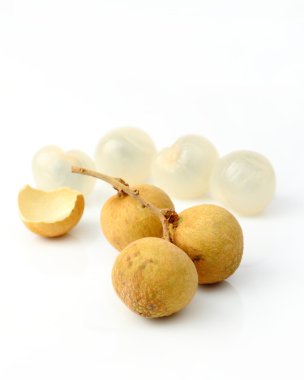 longan grubu