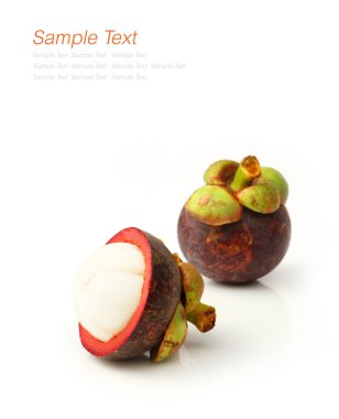 Mangosteen