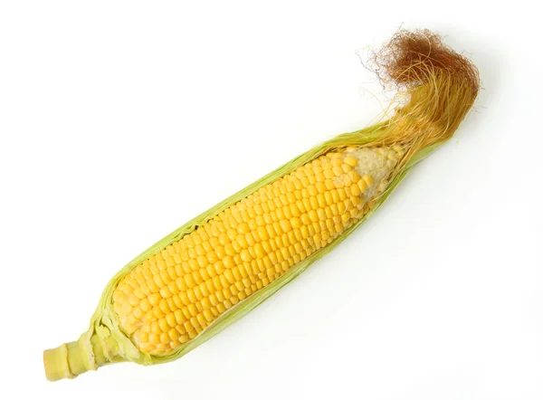 鲜食玉米分离 — 图库照片