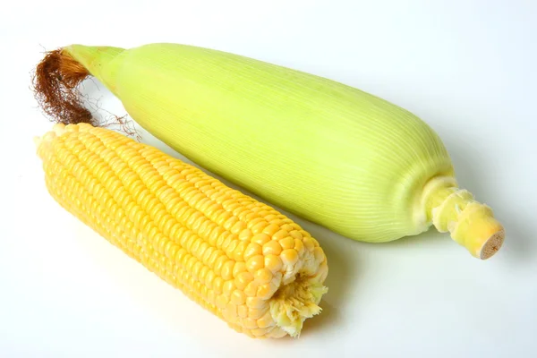 Espigas de milho com etiqueta isolada — Fotografia de Stock