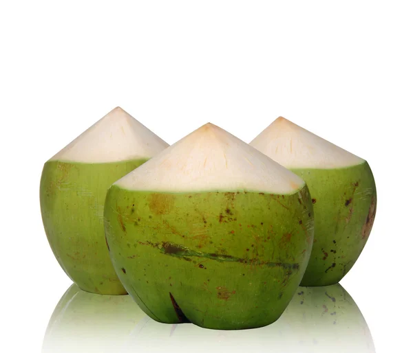 Zelený kokos — Stock fotografie