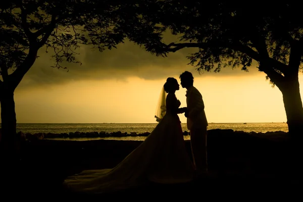 Silhouette des Hochzeitspaares — Stockfoto