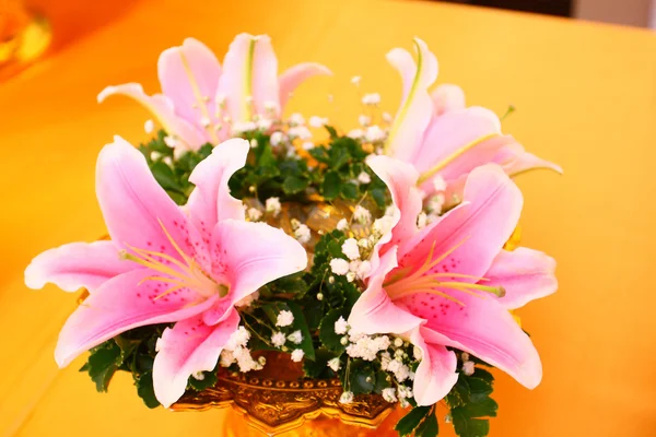 Lilly květiny — Stock fotografie