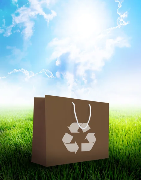 Brown recycle paper shopping bag ecology concept — Stock Photo, Image