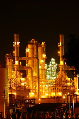 Petrokimya endüstrisi