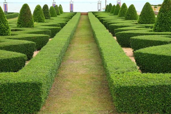 Nature path through — Stock Photo, Image