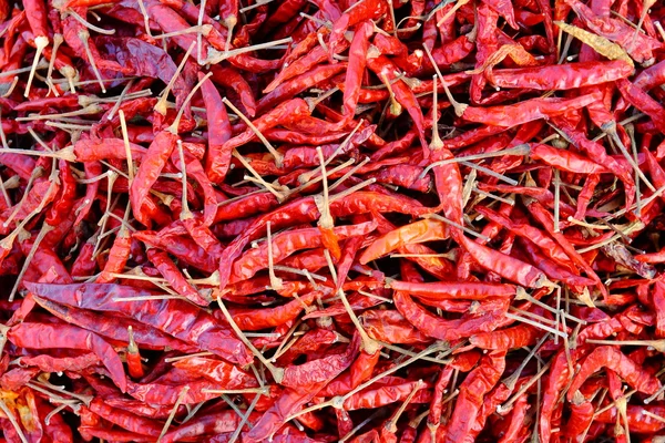 Szárított piros chili — Stock Fotó