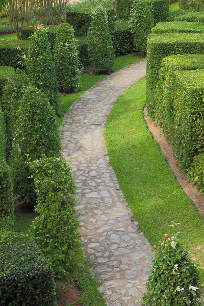 Naturstigen genom i trädgården — Stockfoto