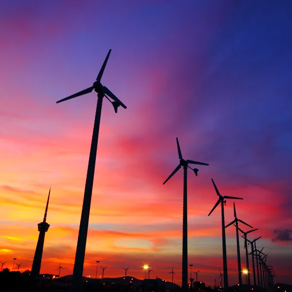 Las siluetas de aerogeneradores de energía limpia están funcionando al atardecer . — Foto de Stock