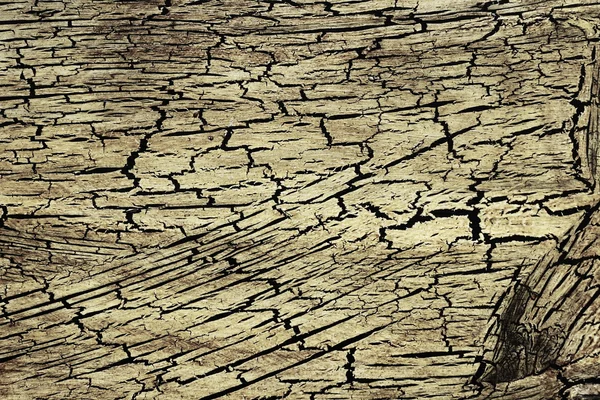 Textures anciennes en bois — Photo