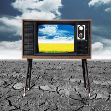 Vintage televizyon pirinç fidan ile çevre dostu c germinated