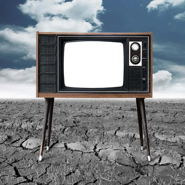 Televisión vintage con plántulas de arroz germinado ecológico c Imagen de stock