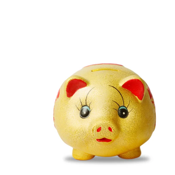Gold  saving pig isolated with clipping path. — Stock Photo, Image