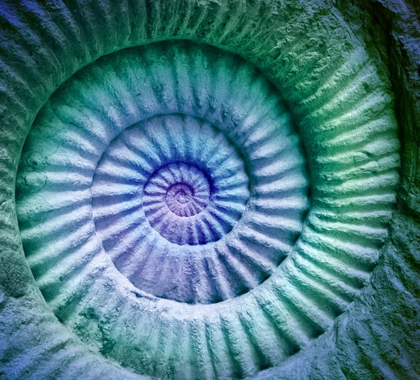 Colori astratti di ammonite fossile preistorico — Foto Stock