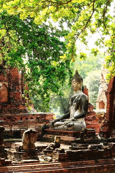 Boeddha in oude tempel — Stockfoto