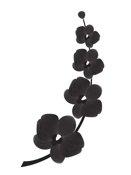 Silueta de rama de orquídea , — Archivo Imágenes Vectoriales