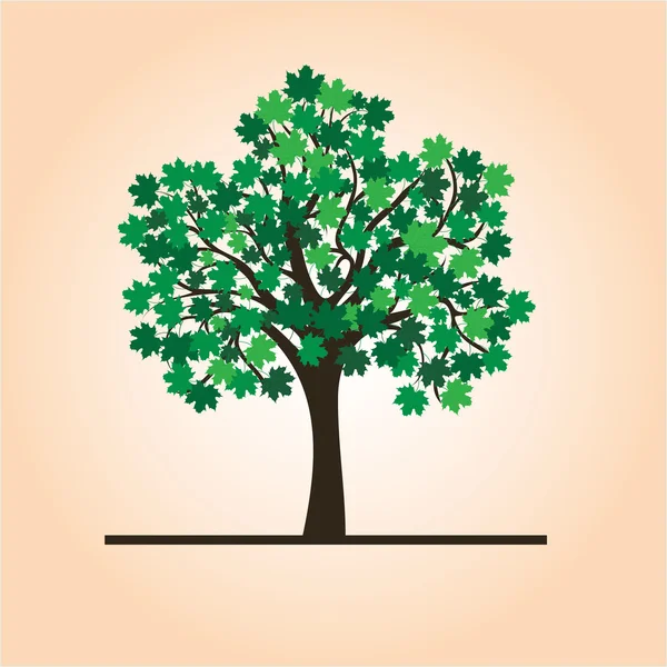 Árbol de verano — Vector de stock