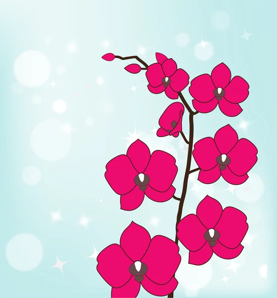 Růžová orchidej — Stockový vektor