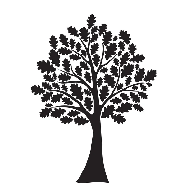 Oak tree Vector Art Stock Images | Depositphotos