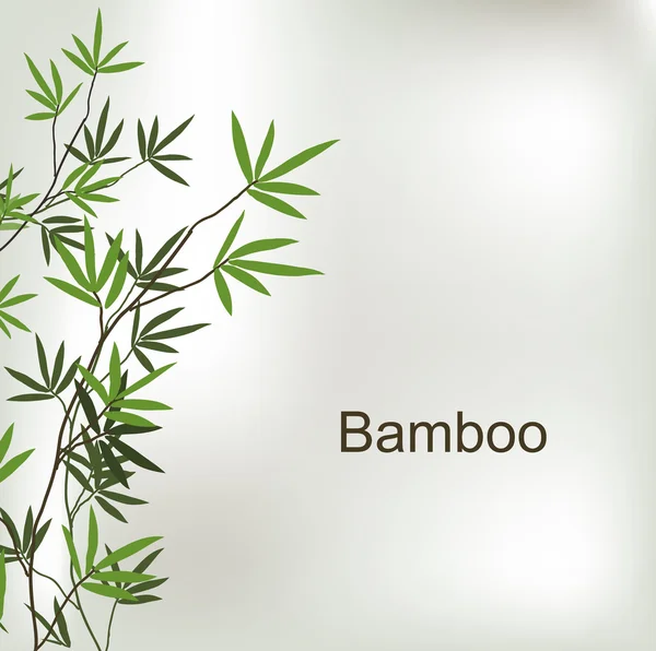 Branch of bamboo — Stock Vector