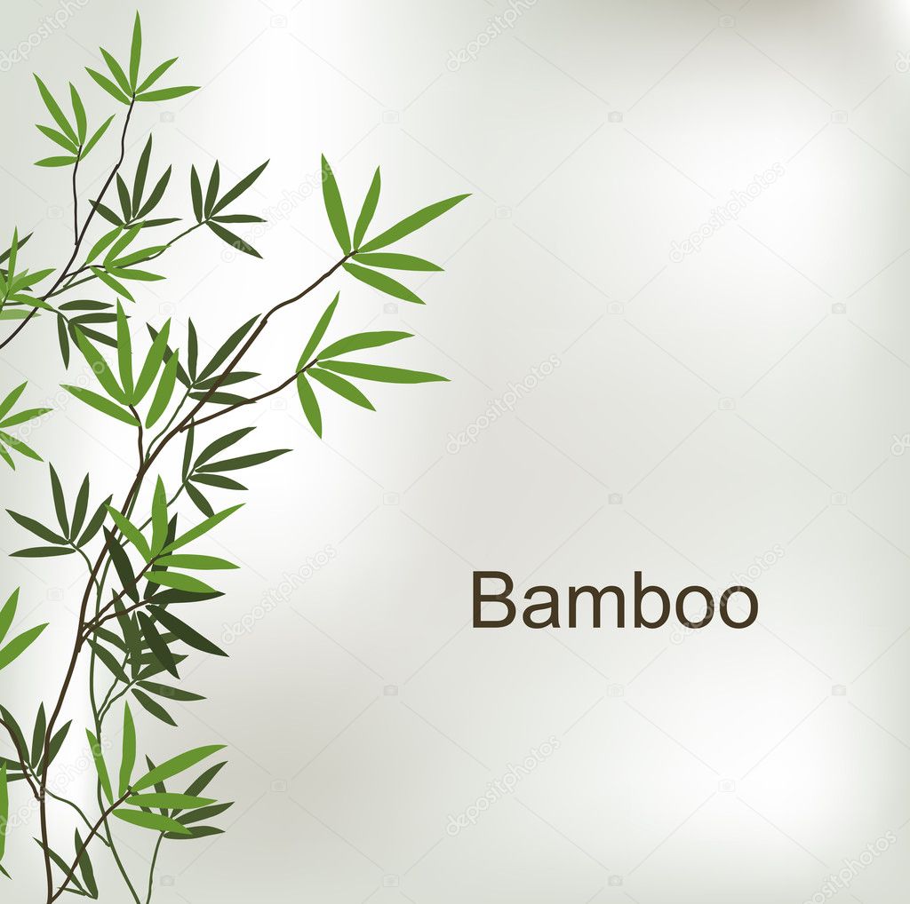 Branch of bamboo