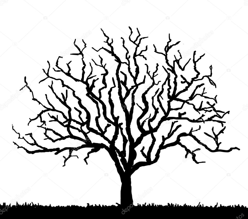 Tree vecor