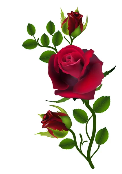 Carte fleur rose — Image vectorielle