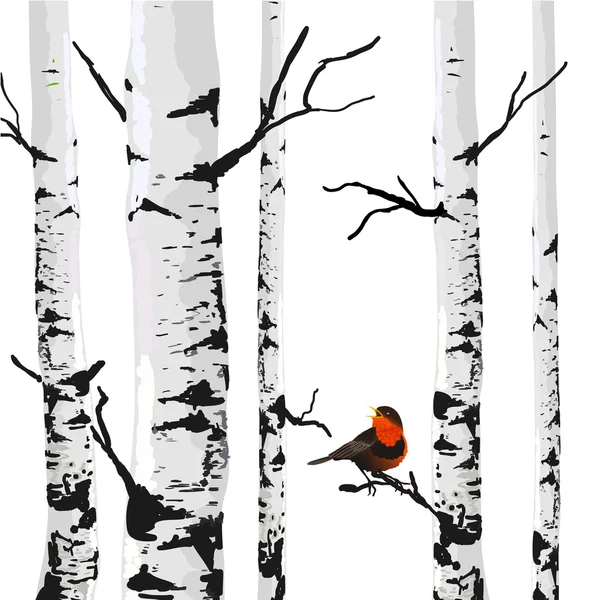 桦树的鸟 — 图库矢量图片
