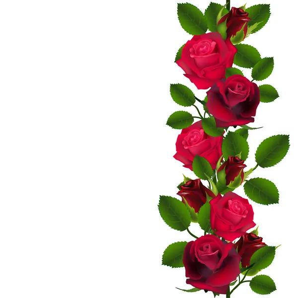 Modèle de roses rouges sans couture — Image vectorielle