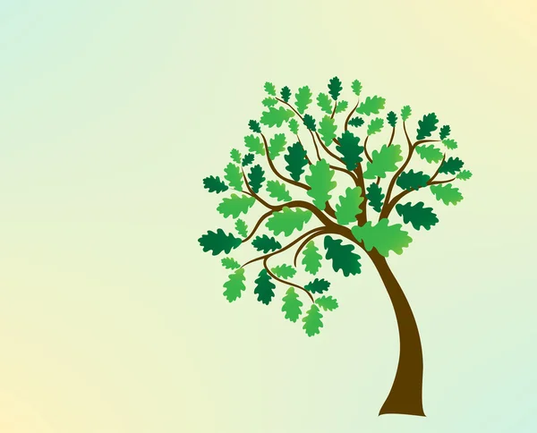 Roble verde del árbol — Vector de stock