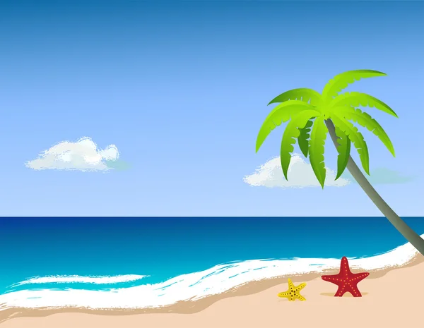 Palme sulla spiaggia, stelle marine sulla sabbia . — Vettoriale Stock