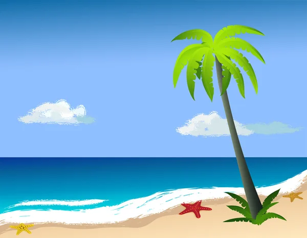 Palmboom op het strand, starfish op het zand. — Stockvector