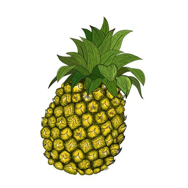 Ananas.
