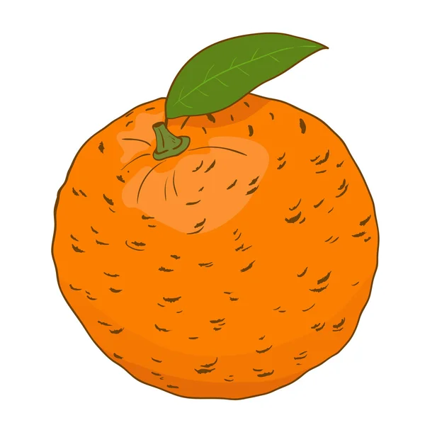 Naranja en vector — Vector de stock