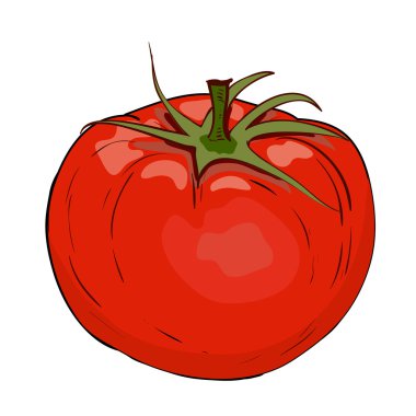 kırmızı domates vektör