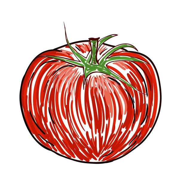 Tomate aquarelle — Image vectorielle