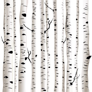 Birches in vector clipart