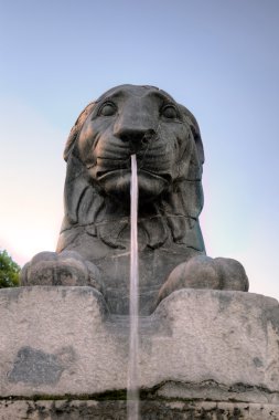 palazzo senatorio, Capitol hill yakınındaki aslan Çeşmesi. Roma (rome), İtalya