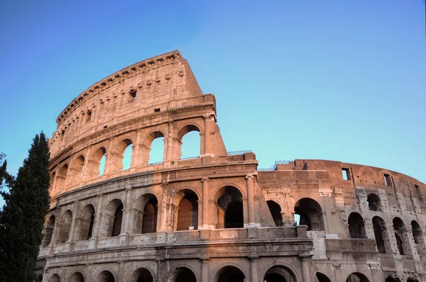 Colosseum. Roma (rome), Olaszország — Stock Fotó