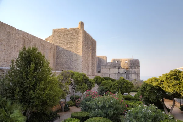 Fästning i dubrovnik, Kroatien — Stockfoto