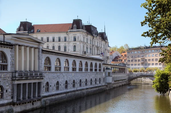 Ljubljana, Slovenien — Stockfoto