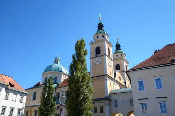 Katedra w Lublanie. Słowenia — Zdjęcie stockowe