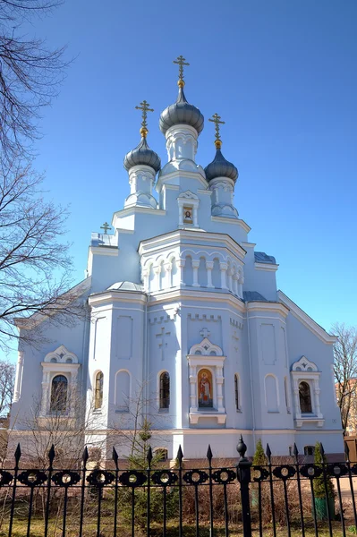 Katedra vladimir ikonę Matki Bożej. Kronsztad, Rosja — Zdjęcie stockowe