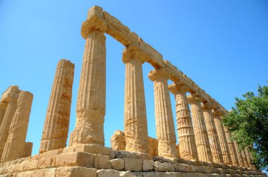 Colonnade Agrigento'da hera (juno) Tapınağı. Sicilya, İtalya