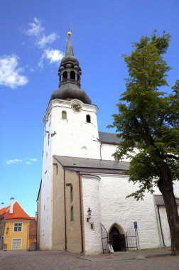 St mary's Katedrali. Tallinn, Estonya