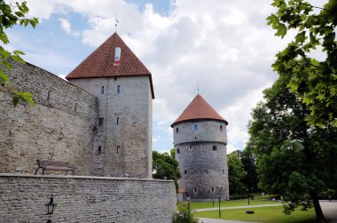 Eski şehirde de kok kule Kiek. Tallinn, Estonya