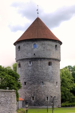 Eski şehirde de kok kule Kiek. Tallinn, Estonya